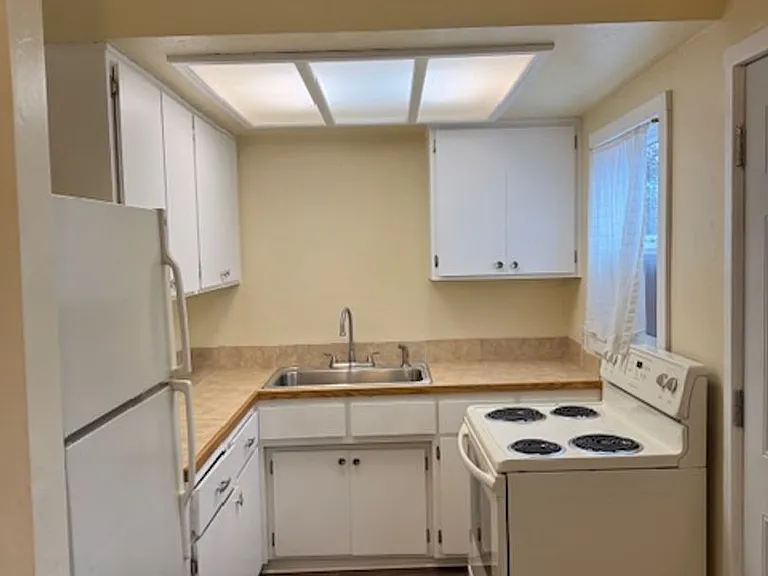 518 Alberts St — Photo 3
