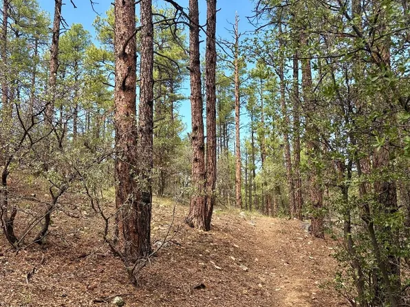 943 W Lookout Rd, Prescott, AZ 86303