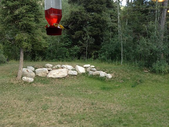 Looking out back door 