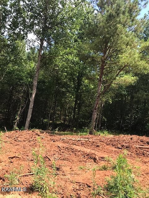 2nd image of LOT 31 Ballplay Rd