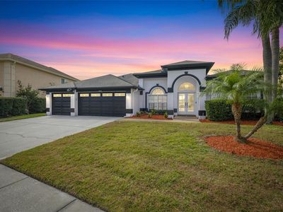 15910 Muirfield Dr, Odessa, FL, 33556