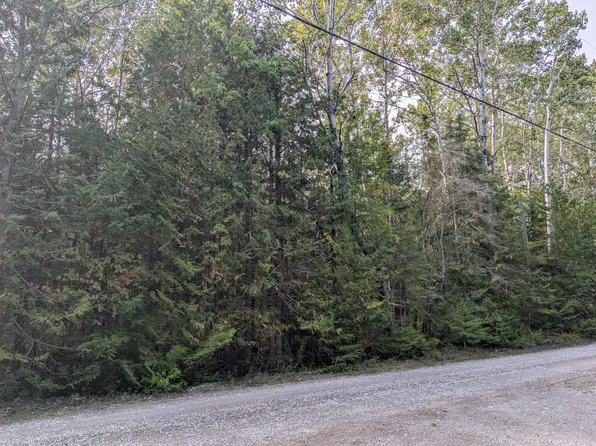 Lappan Rd, Alpena, MI 49707