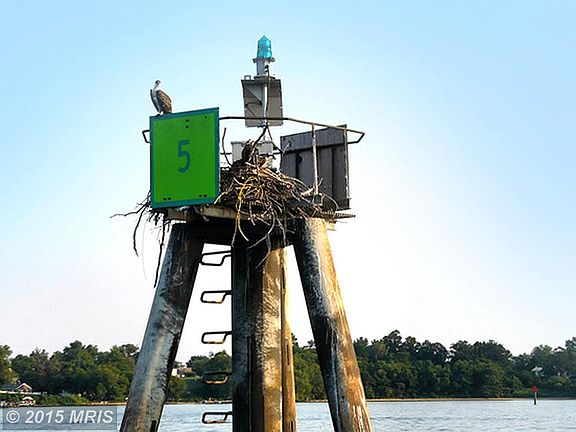 Popular Highpoint Community on Protected Cove