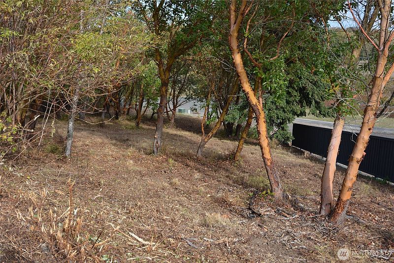3rd image of 999 Moonlight Drive