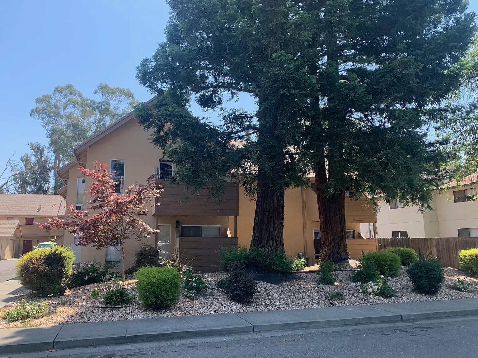 1 bed, 600 sqft, $1,595 — Photo 1