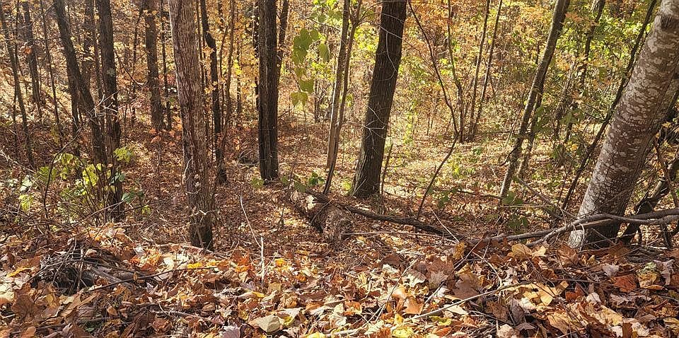 1st image of 15 Wears Mountain Ln Lot 15