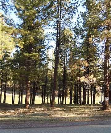 5th image of 183 Spyglass Hl