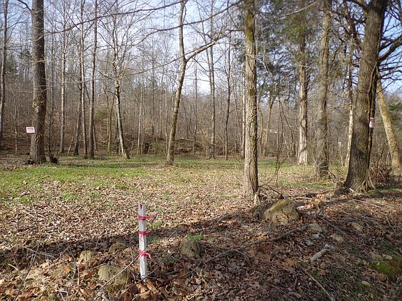 5th image of 0 Ennis Branch Rd