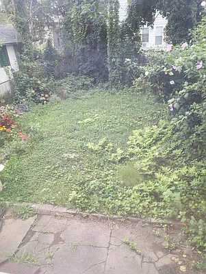 Rented by Coda Real Estate NYC | media 21