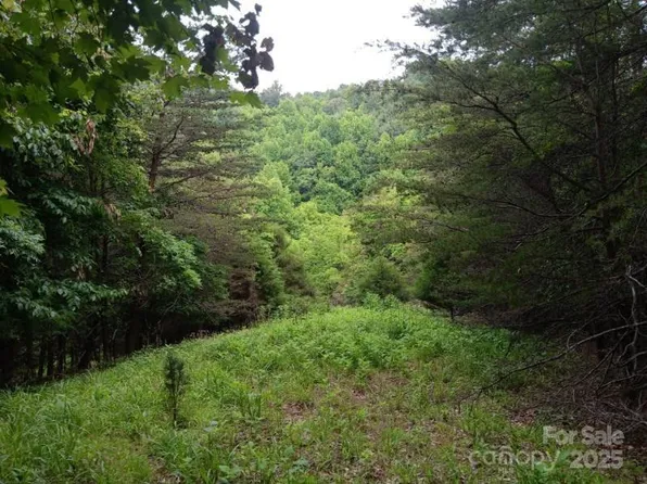 2239 State Highway 268, Wilkesboro, NC 28697