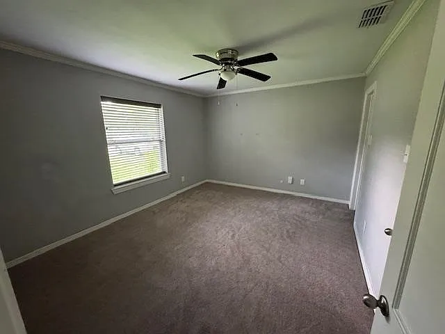 506 Peterson Rd — Photo 4
