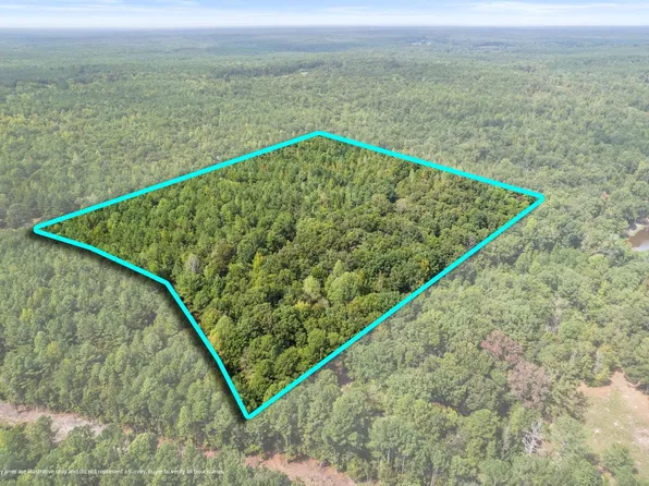 0 County Road 377 Rd, Burnsville, MS 38833