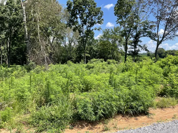 0 Hidden Hills Ln Lot 25, Summertown, TN 38483