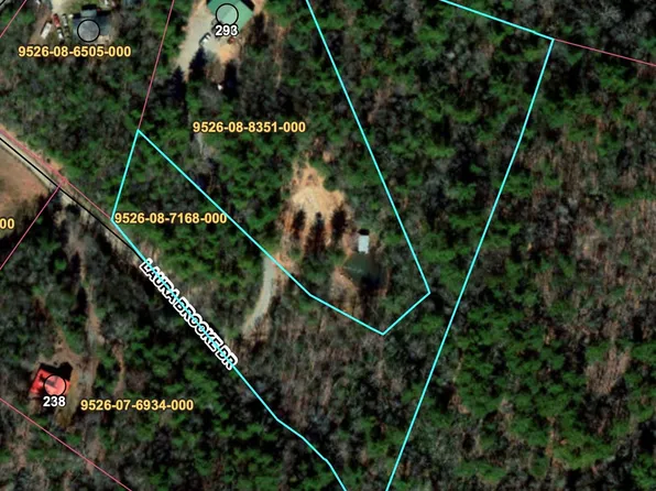 99999 Laura Brooke Dr, Penrose, NC 28766