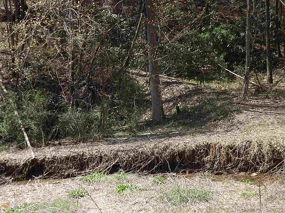 3rd image of 0 LOT Highway 76 E