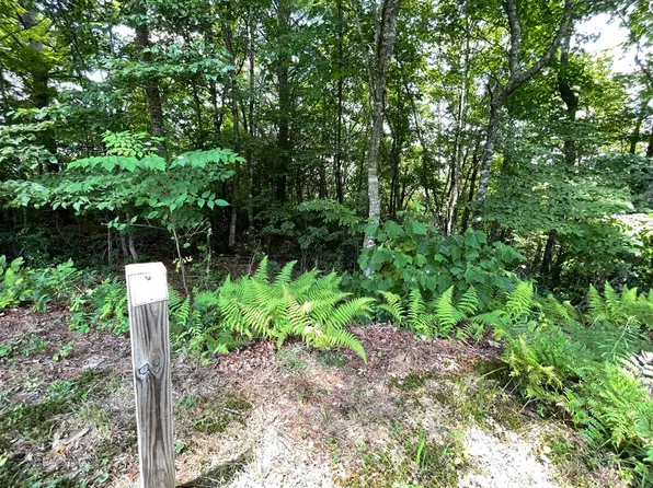 LOT 37 Fodder Creek Mill Dr, Hiawassee, GA 30546