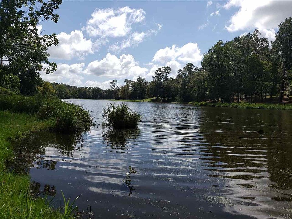 5220 Blk Wiggins Lake Rd, Walnut Hill, FL 32568 Zillow