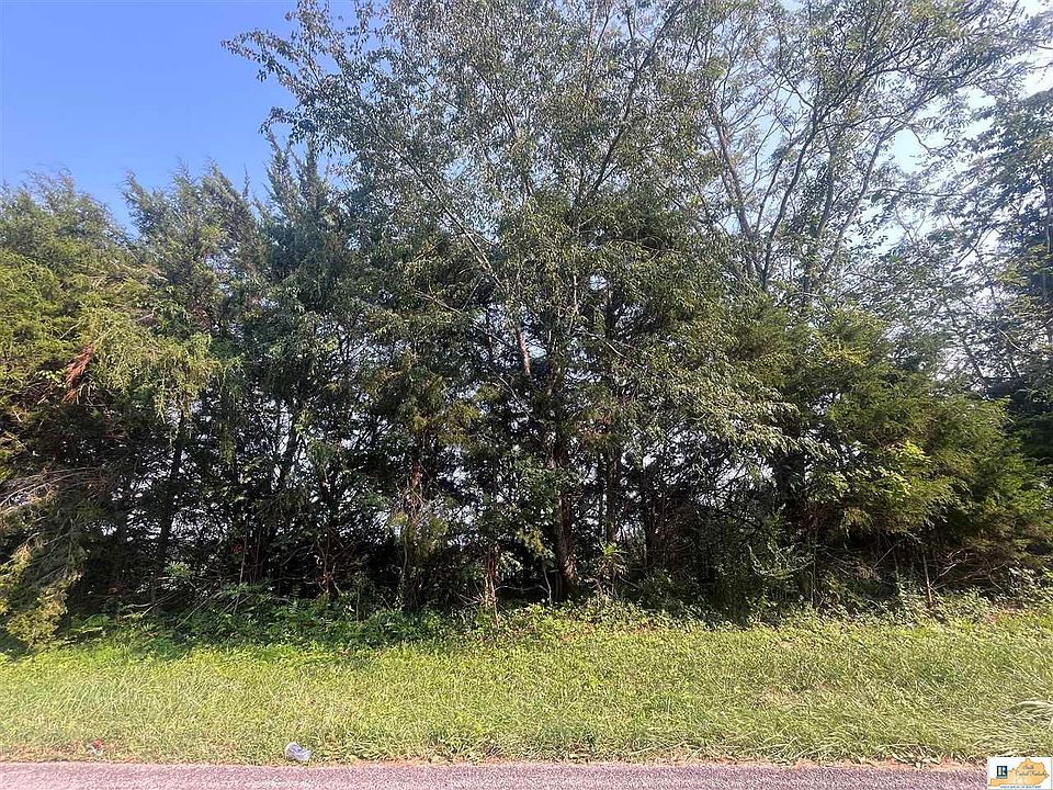 1st image of 0 Britt Mill Rd