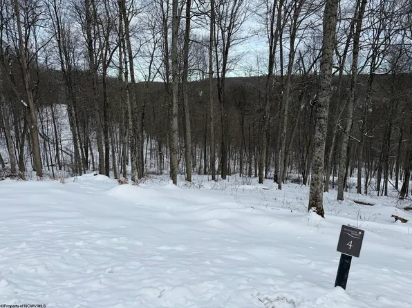 LOT 4 Trailwood Cir, Bruceton Mills, WV 26525
