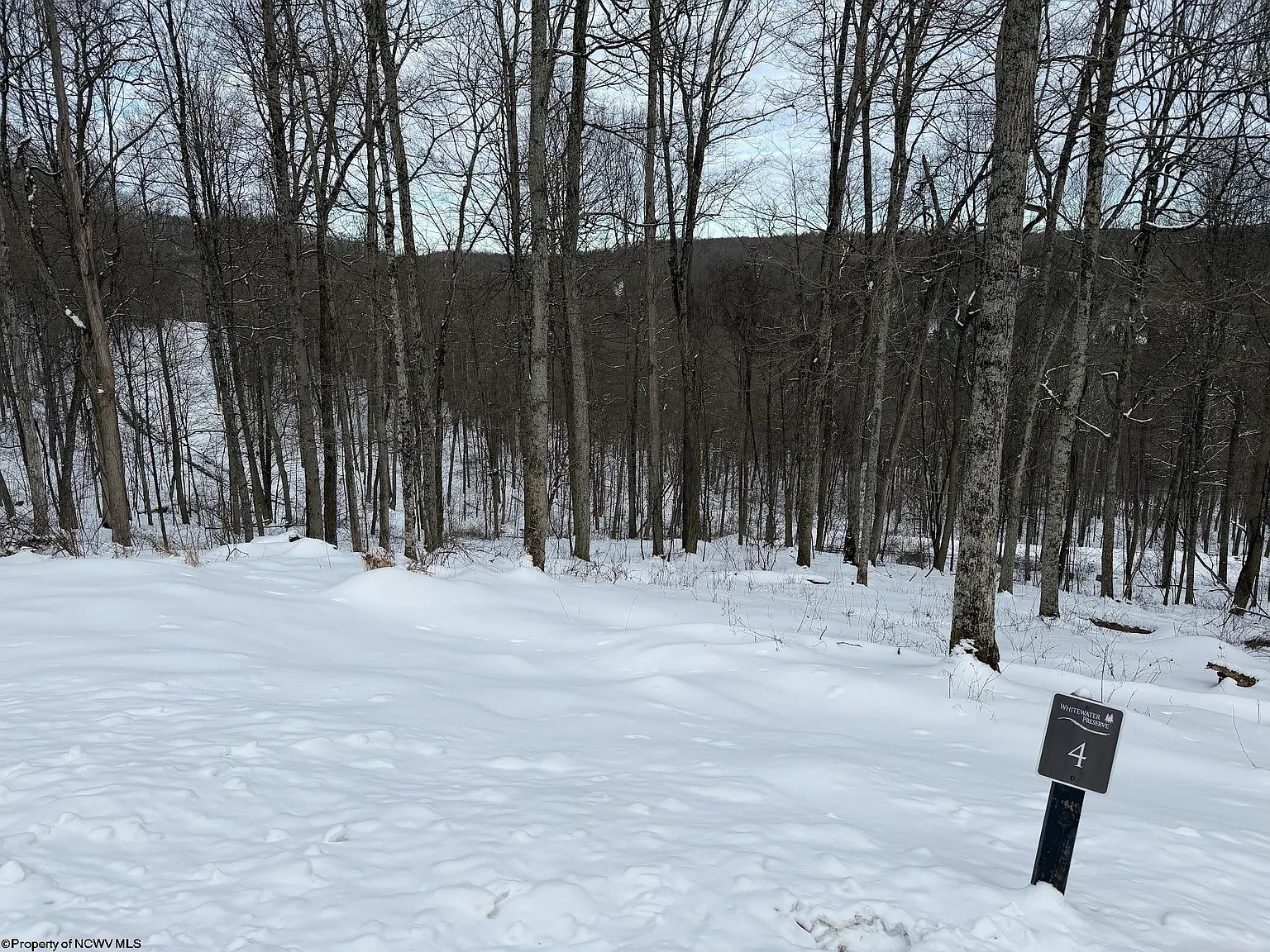 LOT 4 Trailwood Cir photo 1