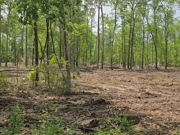 18485 Private Road 8445, Spurger, TX 77660