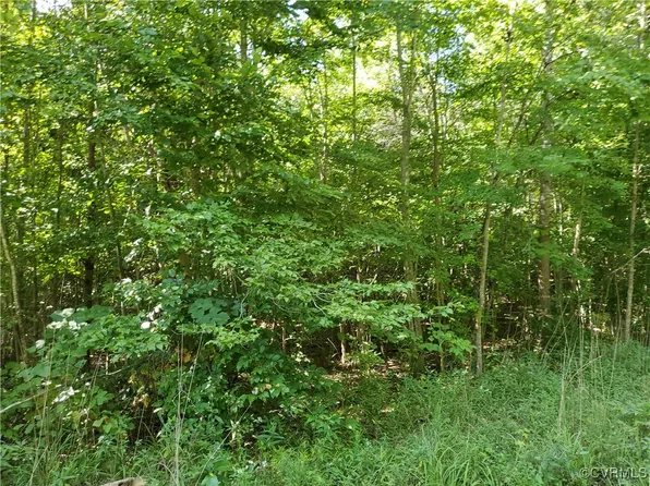 Amelia Springs Rd, Jetersville, VA 23083