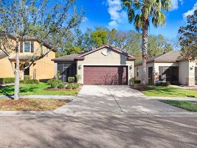 4512 Paper Mulberry Pl, Riverview, FL, 33578