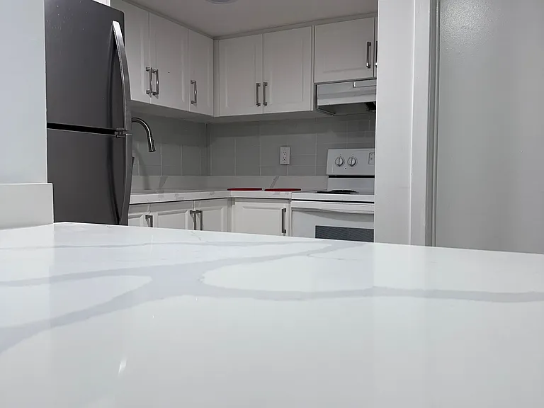 50 Marbury Cres #LOWER — Photo 12
