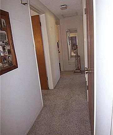 3rd image of 2511 Davis Pl
