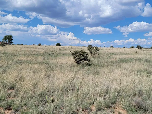 13 Dapple Ln, Edgewood, NM 87015