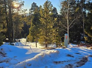 133 Sildona Trl, Florissant, CO 80816