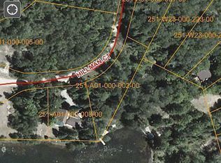 15335 Hillman Ct, Wolverine, MI 49799