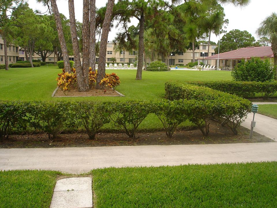 View out back door