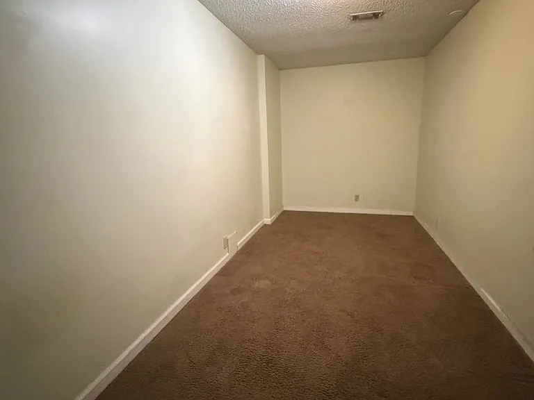 911 Black Willow Dr — Photo 22