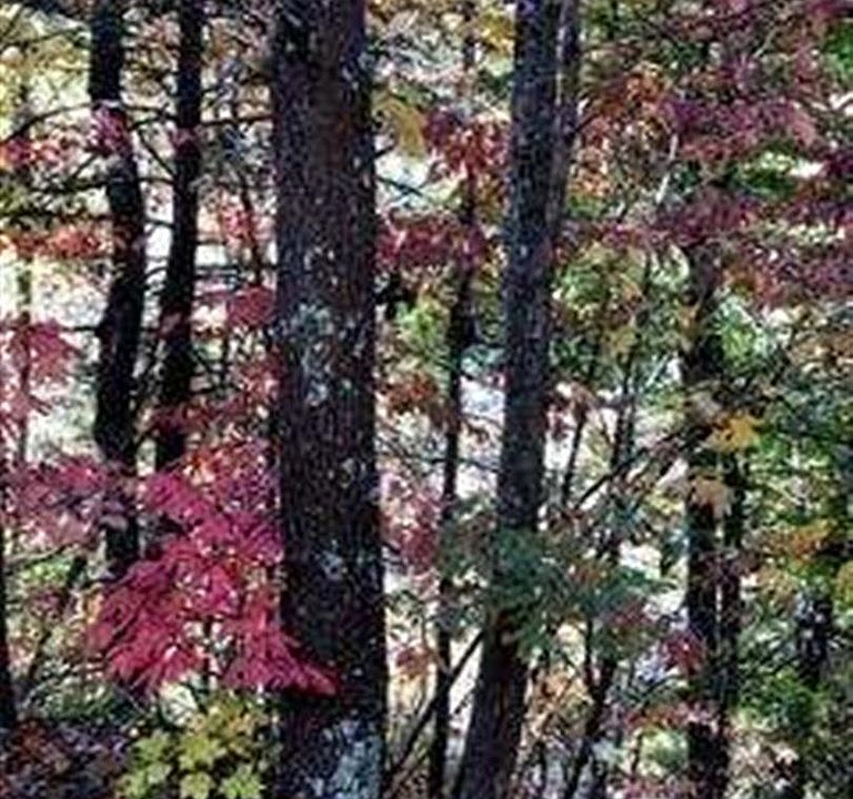 LOT 51 Mr Marshall Dr, Pigeon TN 37863 MLS 250124 Zillow