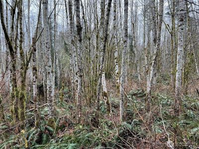 3 XX Scenic Drive, Poulsbo, WA, 98370