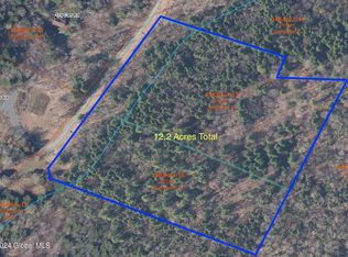 215 Carr Rd, Jewett, NY 12444