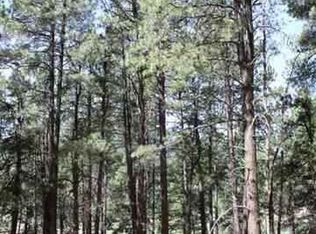 127 Snowbird Ct, Bayfield, CO 81122