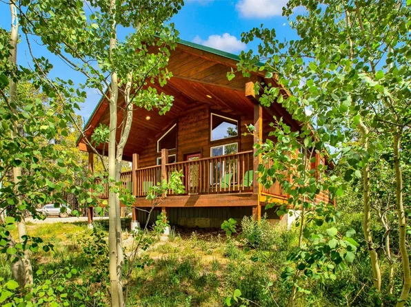 558 Vots Dr, Fairplay, CO 80440