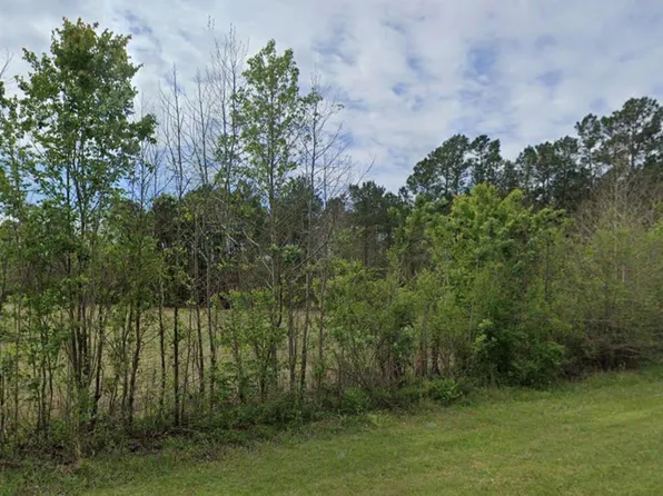 0 Bowman Branch Hwy, Branchville, SC 29432