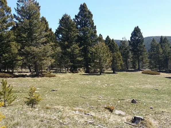 16 Hoo Doo Mount Mountain, Gold Creek, MT 59733