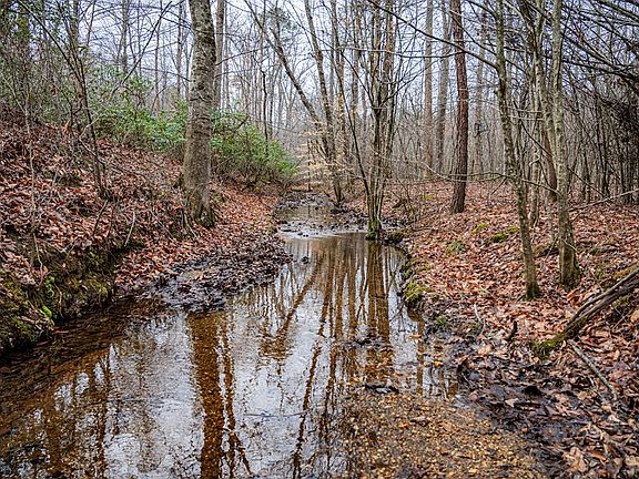 3rd image of Troublesome Creek Rd