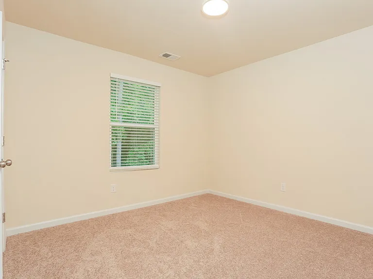 203 Hamilton Pointe Dr — Photo 13