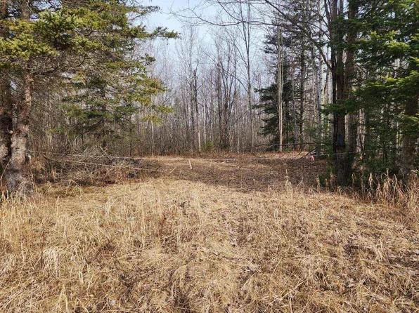 0 E Eight Mile Rd, Sault Sainte Marie, MI 49783