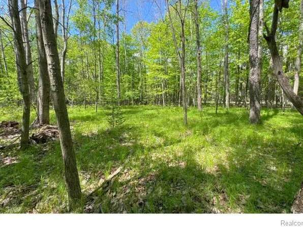 0 Birchwood Trl, Lake, MI 48632