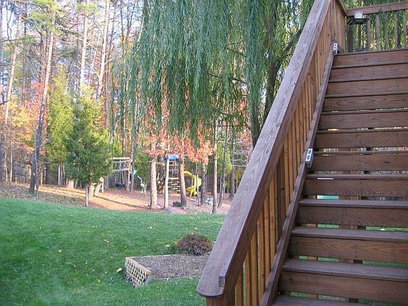 backyard (.98 acres woods)