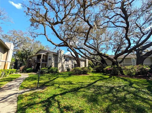 14211 Shadow Moss Ln APT 202, Tampa, FL 33613