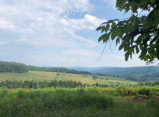 Hayes Rd, Meredith, NY 13753