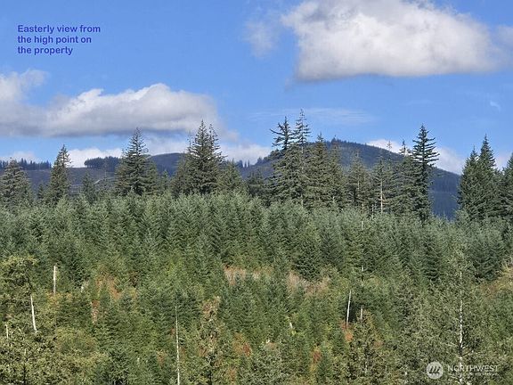 5th image of 1051 SKAMANIA MINES Road