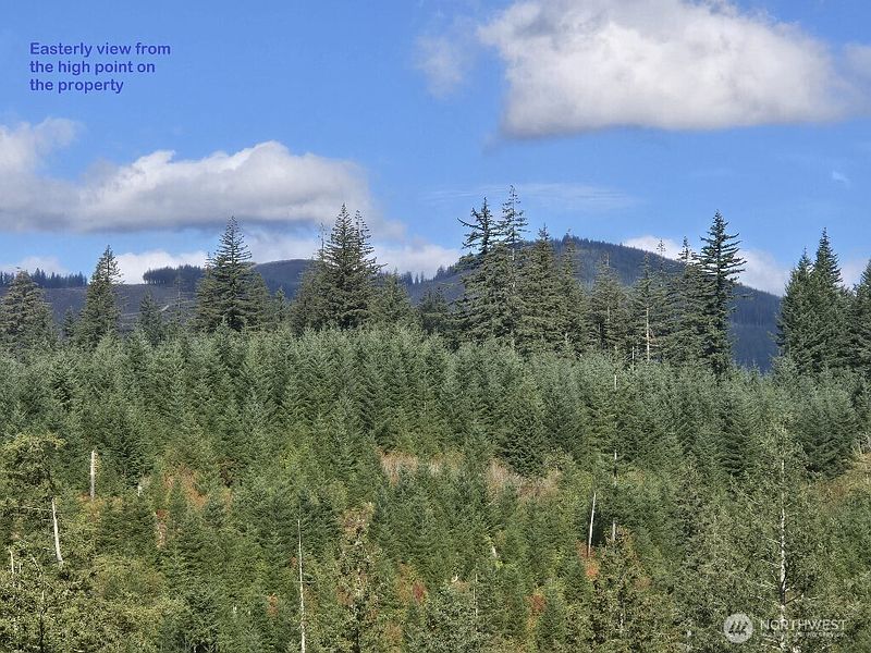 5th image of 1051 SKAMANIA MINES Road